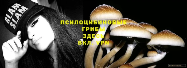 молекула духа Волоколамск