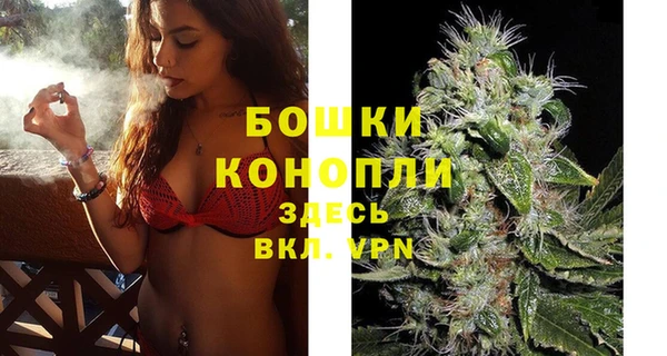 молекула духа Волоколамск