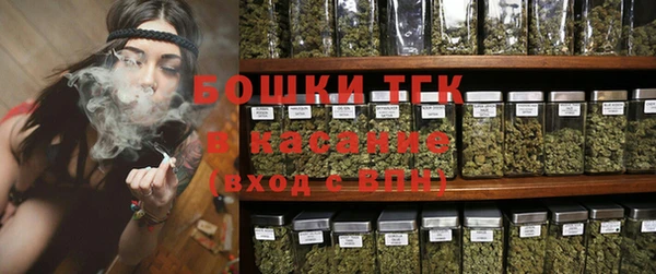 молекула духа Волоколамск