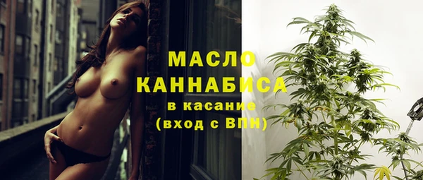 молекула духа Волоколамск