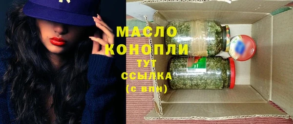молекула духа Волоколамск
