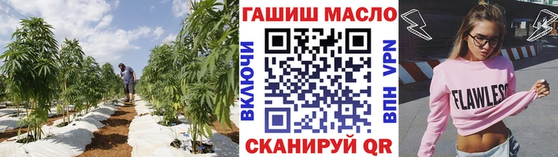 купить сайты МЕГА ТОР ТГК жижа Новосибирск